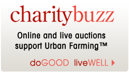 Charity Buzz Auctions